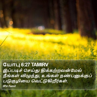 யோபு 6:27 TAMIRV Bible Verse Image