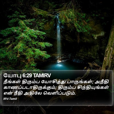 யோபு 6:29 TAMIRV Bible Verse Image