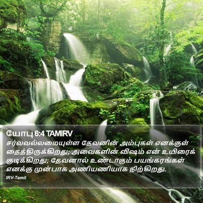 யோபு 6:4 TAMIRV Bible Verse Image