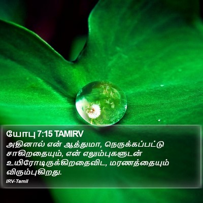 யோபு 7:15 TAMIRV Bible Verse Image