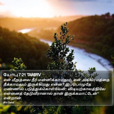 யோபு 7:21 TAMIRV Bible Verse Image