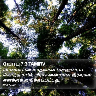 யோபு 7:3 TAMIRV Bible Verse Image