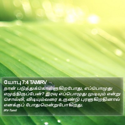 யோபு 7:4 TAMIRV Bible Verse Image