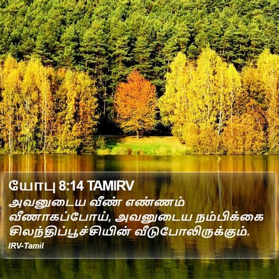 யோபு 8:14 TAMIRV Bible Verse Image
