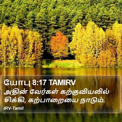 யோபு 8:17 TAMIRV Bible Verse Image