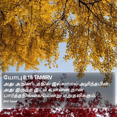 யோபு 8:18 TAMIRV Bible Verse Image
