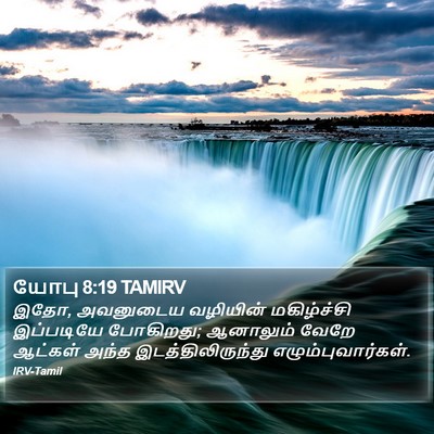 யோபு 8:19 TAMIRV Bible Verse Image