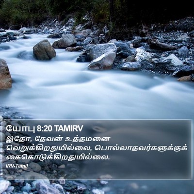 யோபு 8:20 TAMIRV Bible Verse Image