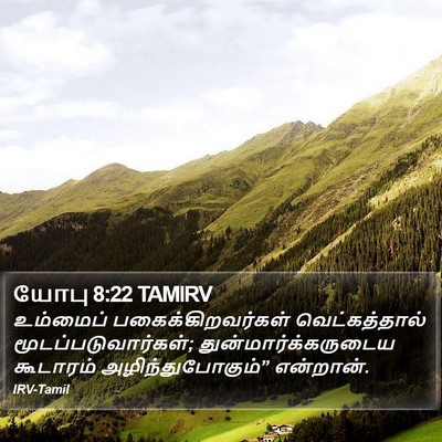 யோபு 8:22 TAMIRV Bible Verse Image