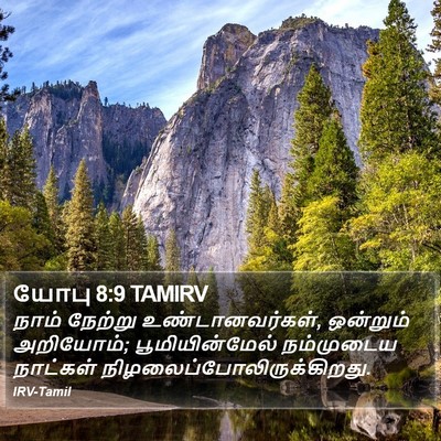 யோபு 8:9 TAMIRV Bible Verse Image
