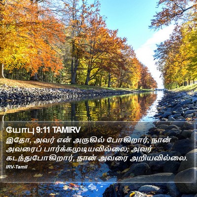 யோபு 9:11 TAMIRV Bible Verse Image