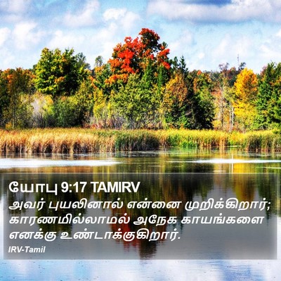 யோபு 9:17 TAMIRV Bible Verse Image