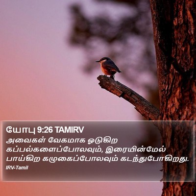 யோபு 9:26 TAMIRV Bible Verse Image
