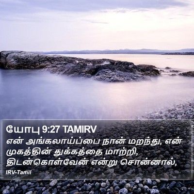 யோபு 9:27 TAMIRV Bible Verse Image