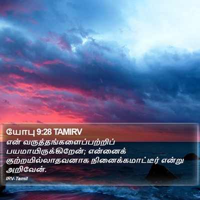 யோபு 9:28 TAMIRV Bible Verse Image