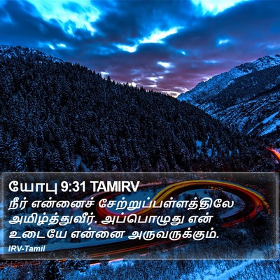 யோபு 9:31 TAMIRV Bible Verse Image