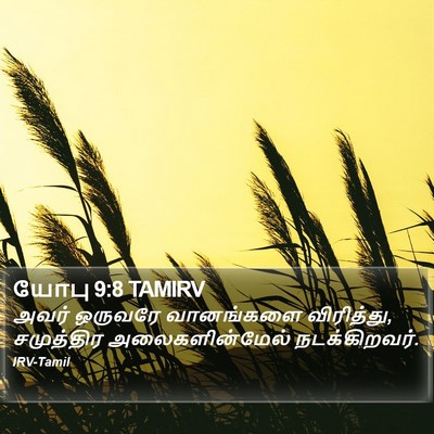 யோபு 9:8 TAMIRV Bible Verse Image