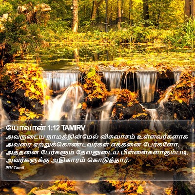 யோவான் 1:12 TAMIRV Bible Verse Image