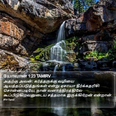 யோவான் 1:23 TAMIRV Bible Verse Image