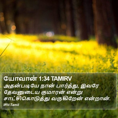 யோவான் 1:34 TAMIRV Bible Verse Image