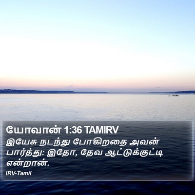 யோவான் 1:36 TAMIRV Bible Verse Image