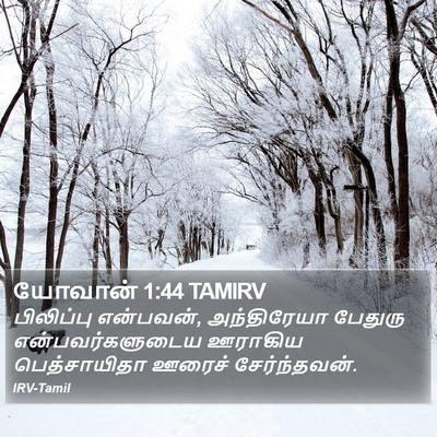 யோவான் 1:44 TAMIRV Bible Verse Image