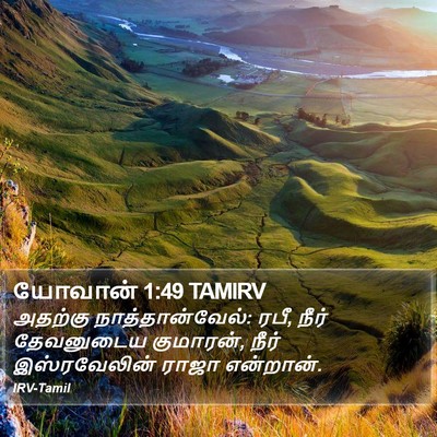 யோவான் 1:49 TAMIRV Bible Verse Image