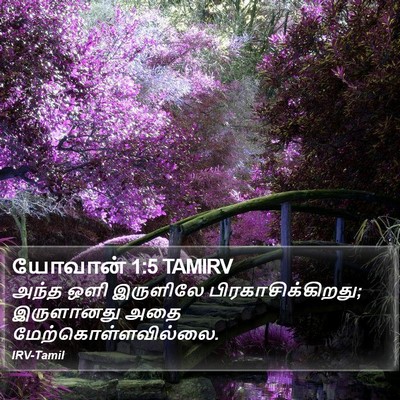 யோவான் 1:5 TAMIRV Bible Verse Image