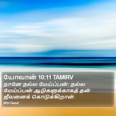 யோவான் 10:11 TAMIRV Bible Verse Image