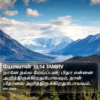 யோவான் 10:14 TAMIRV Bible Verse Image