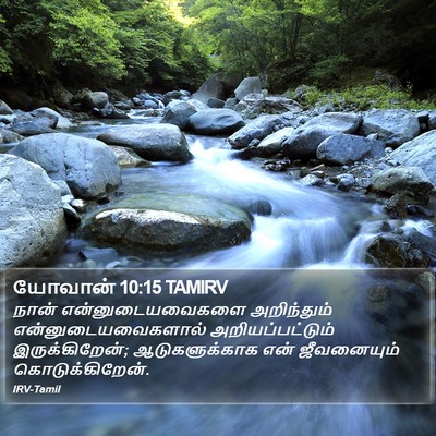 யோவான் 10:15 TAMIRV Bible Verse Image