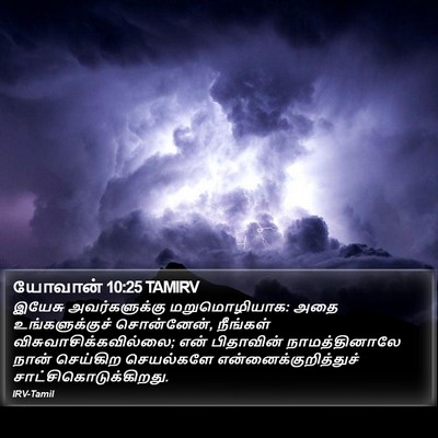யோவான் 10:25 TAMIRV Bible Verse Image
