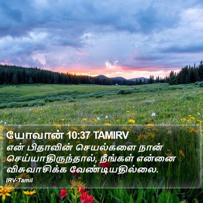 யோவான் 10:37 TAMIRV Bible Verse Image