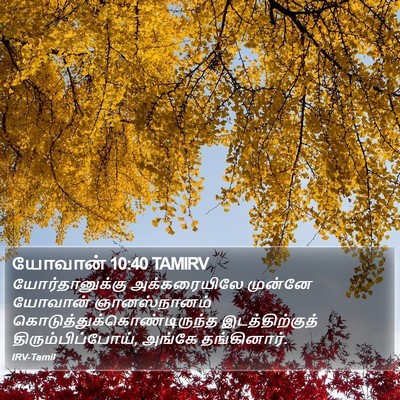 யோவான் 10:40 TAMIRV Bible Verse Image