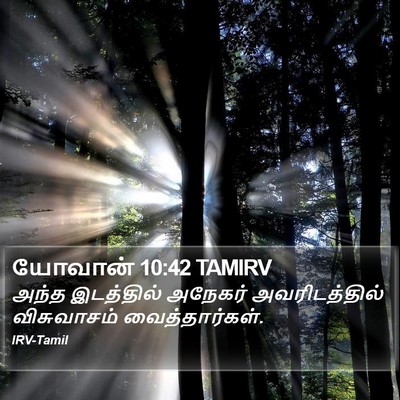 யோவான் 10:42 TAMIRV Bible Verse Image