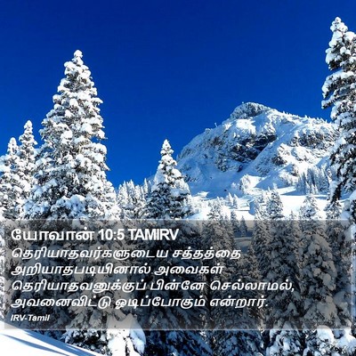 யோவான் 10:5 TAMIRV Bible Verse Image