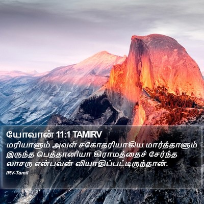 யோவான் 11:1 TAMIRV Bible Verse Image