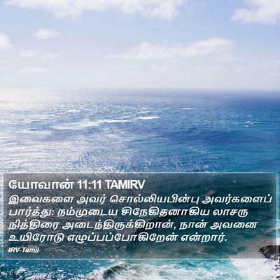 யோவான் 11:11 TAMIRV Bible Verse Image