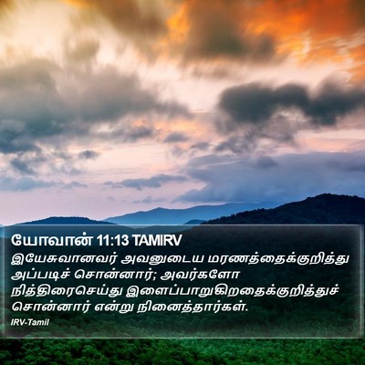 யோவான் 11:13 TAMIRV Bible Verse Image