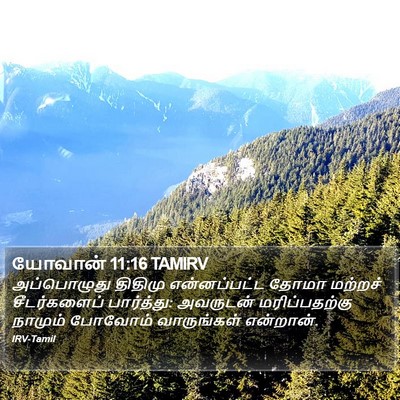 யோவான் 11:16 TAMIRV Bible Verse Image