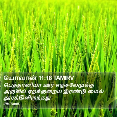 யோவான் 11:18 TAMIRV Bible Verse Image