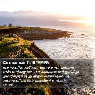 யோவான் 11:19 TAMIRV Bible Verse Image