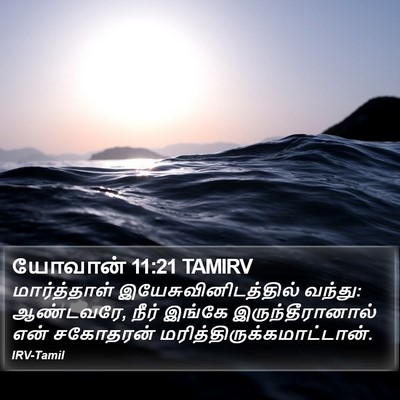 யோவான் 11:21 TAMIRV Bible Verse Image