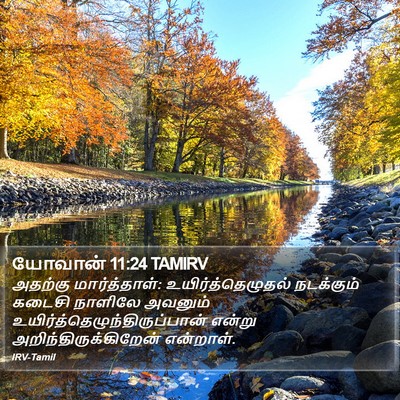 யோவான் 11:24 TAMIRV Bible Verse Image