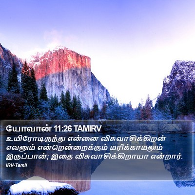 யோவான் 11:26 TAMIRV Bible Verse Image