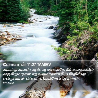 யோவான் 11:27 TAMIRV Bible Verse Image