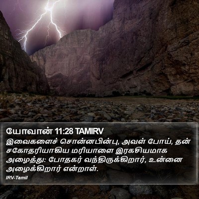 யோவான் 11:28 TAMIRV Bible Verse Image
