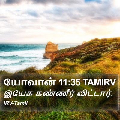 யோவான் 11:35 TAMIRV Bible Verse Image
