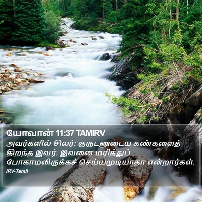 யோவான் 11:37 TAMIRV Bible Verse Image