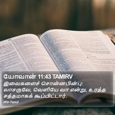 யோவான் 11:43 TAMIRV Bible Verse Image